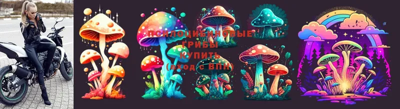 сайты даркнета Telegram  Курган  Псилоцибиновые грибы MAGIC MUSHROOMS 